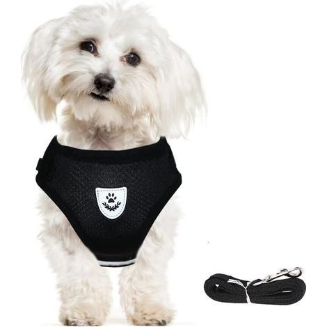 Harnais Chien Chat avec Laisse,Réfléchissant Réglable Harnais Respirant Confort Mesh Doux pour Petits Moyens Chiens,Anti Traction Gilet Rembourré pour Marcher Courir (Noir, XL) (1/5)