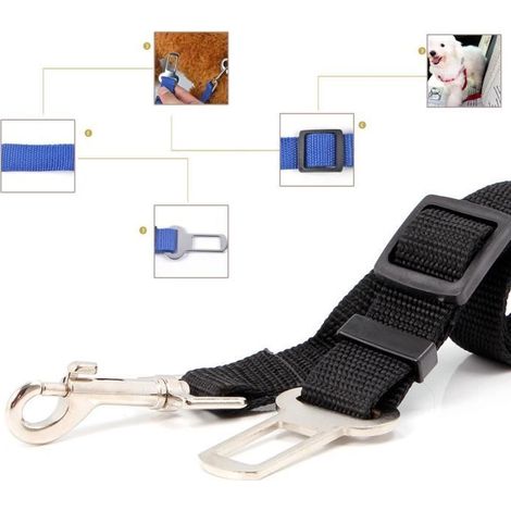 Neuftech® Laisse Ceinture de Sécurité pour Chien / Chat / Animaux de Compagnie pour les sièges de voiture- Noir (1/4)