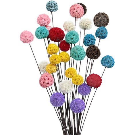 Fleurs séchées Billy Ball, fleurs artificielles séchées, décoration pour la maison et le jardin (1/5)