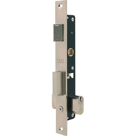 Tesa Assa Abloy 222012NM Serratura a punto singolo De Leva scorrevole per profili metallici nichel opaco Entrata 11,5 mm 2220 (1/2)