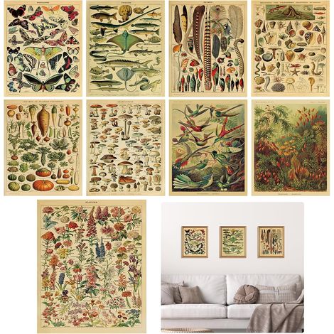 Lot de 9 affiches vintage botaniques Papillon Poster Diagramme de fleurs Affiche Ensemble éducatif d'identification Décor mural pour salon chambre à coucher Non encadré 20 x 25 cm (1/5)