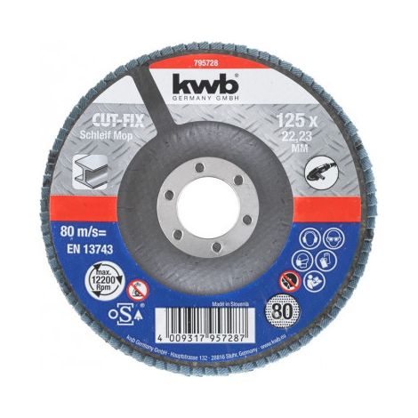 KWB discs laminas 125x22mm g80 49795728 , Discos Láminas 125X22Mm G80 de la marca Einhell. (1/2)