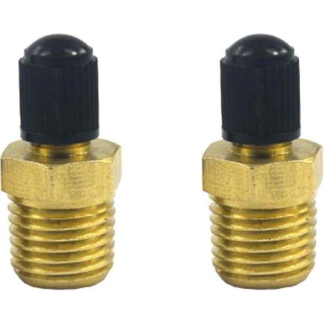 Valvole di riempimento per serbatoi di compressori Schrader in ottone nichelato da 1/4 di pollice NPT (1/5)