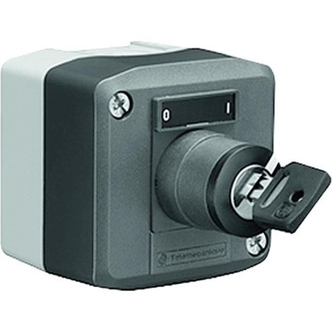 Schell 015380099 Schlüsselschalter (1/3)