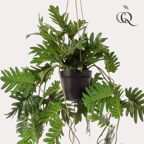Plante Artificielle Suspendue Philodendron Fausse Plante Tombante Intérieur 80 cm - PANGIVO (1/5)
