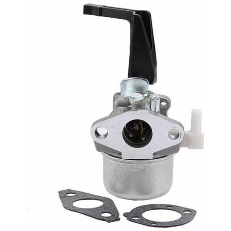Carburateur 696065 compatible avec Briggs & Stratton 696065 697422 110402-0206-E1 (1/4)