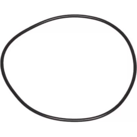 Astralpool – Joint de corps de pompe 4405010240 – Pièce détachée pour piscine – Compatible avec modèles Europa New, Niagara, Discovery – Matériaux résistants
