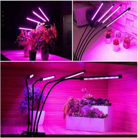 Lampe Croissance Plante - 80 LED Spectre Complet - 4 Têtes Réglables - Pour Semis Et Plantes D Intérieur - 1 Unite (1/5)