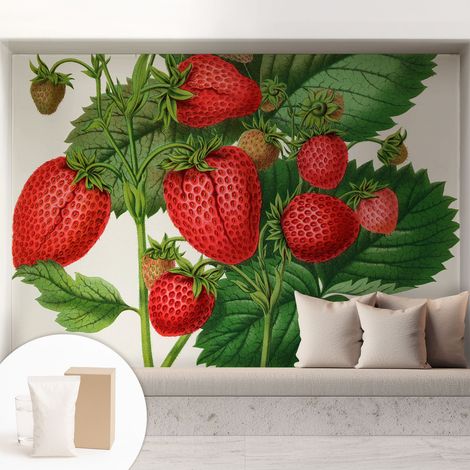 Tapete Tapete Vliestapete mit Kleber - Fototapete mit Motiv - Wandtapete modern - Wanddeko Sommerfrüchte 208x146 cm (1/5)