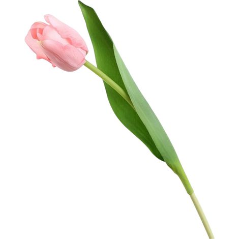 Tulipe Artificielle - Tige Longue 46 cm - Matériau Soie et Plastique - Pour Décoration Intérieure, Mariage, Bureau, Fête - Lot de 5 (1/5)