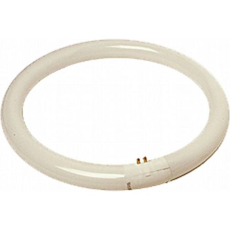 Tubo fluorescente circular T9 40W G10q 6400K