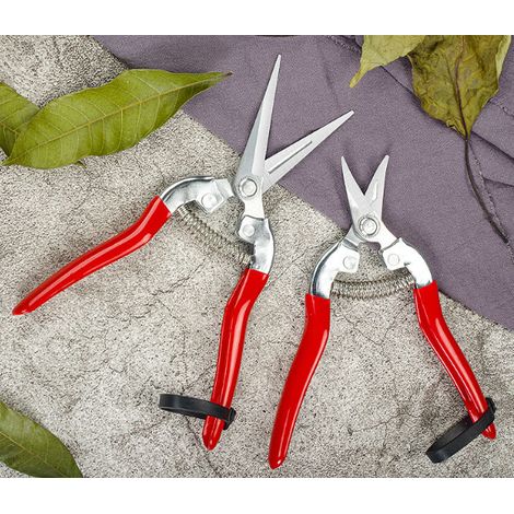 ciseaux à fruits et à branches pour cueillette taille de bonsaï et jardinage modèle 02 et modèle 03 pour éclaircissage des fruits lot combiné (1/4)