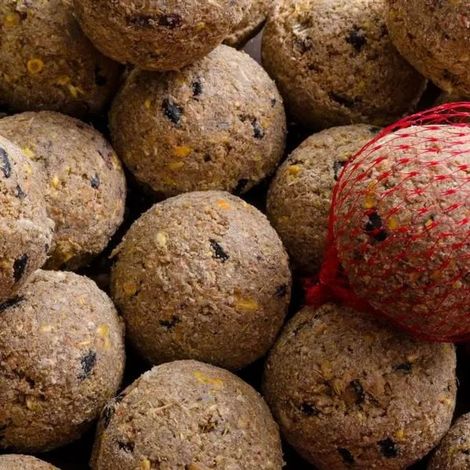 Boules de Graisse pour Oiseaux avec Insectes 100 Pièces – Nourriture Naturelle, Équilibrée et Pratique pour Attirer une Diversité d'Oiseaux dans Votre Jardin Pendant l'Hiver et l'Été