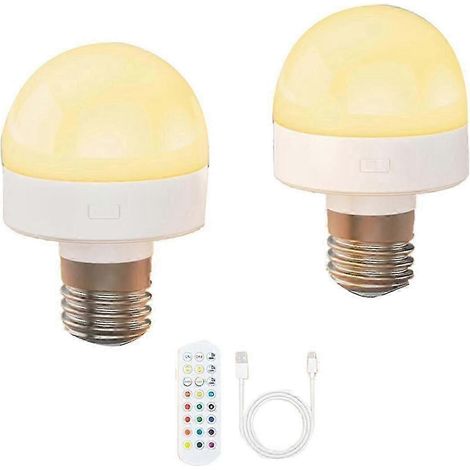 Ampoules rechargeables avec télécommande - Ampoules à piles E26 pour appliques murales et suspensions non câblées-AquaForge (1/5)
