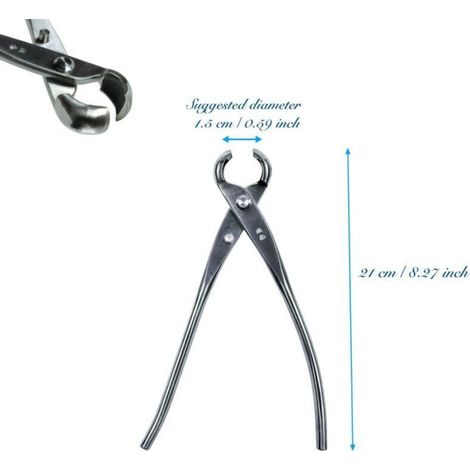 Sécateur Bonsaï Traditionnel – Lame Acier Inoxydable 210 mm, Bord Rond, Coupe Précise pour Droitiers