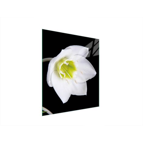 TABLA DE CORTAR DE VIDRIO 45x52 ORQUÍDEA (1/5)