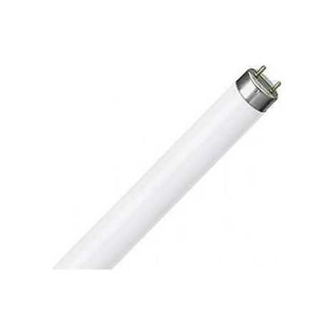 Set Lampada Neon Fluorescente T8 Std 18W G13 Luce Calda 2300K