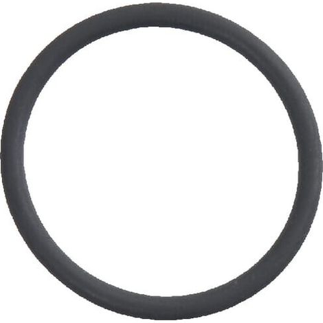 O-ring per valvola 26x2,5 CASE IH 1328393C1 (1/2)