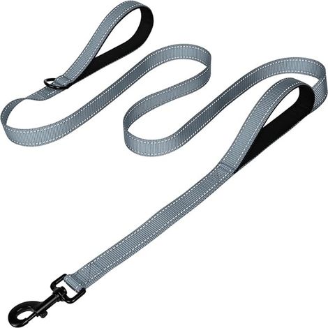 180cm Basics Laisse Réfléchissante Double Face pour Chien avec Doubles Poignées Rembourrées et Anneau en D