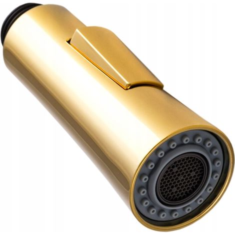 Douchette de rechange pour mitigeur de cuisine NEXO dorée avec bec extractible 1/2" 2 jets (1/4)