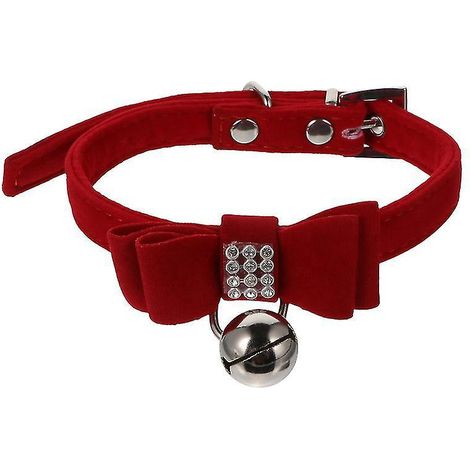 1 collier pour chiot (1/3)