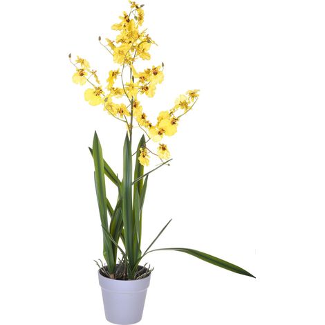 Orchidea Artificiali Oncidium con Vaso Altezza 40 cm Giallo (1/2)