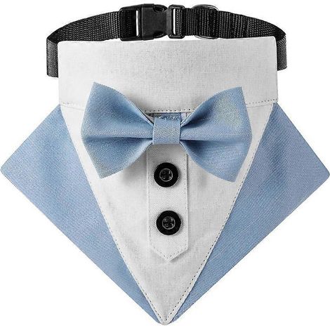 Katzenhalsband mit eleganter Fliege, Prinzenkragen-Fotorequisite, blau, Größe M, ideal für Fotoshootings und schicke Outfits.