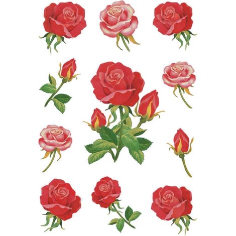 HERMA - Étiquette 3581 Roses 10 pièces