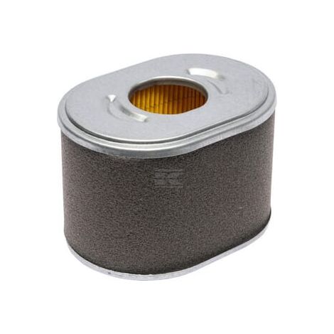Filtre à cartouche BRIGGS & STRATTON 595435