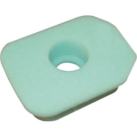 Filtre à air en mousse BRIGGS ET STRATTON 270848