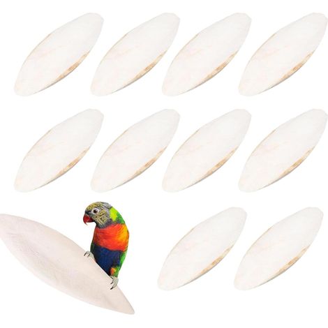 10 Pièces Os De Seiche, 9-12cm Naturel, Pour Oiseaux, Reptiles, Petits Animaux
