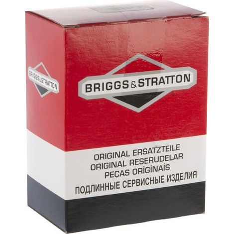 Carburatore BRIGGS ET STRATTON 595776 (1/2)