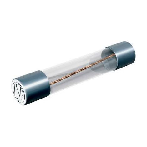 Püschel FSUF20,0B Fusibile (Ø x L) 6.3 mm x 32 mm 20 A 60 V Rapido Contenuto 10 pz.