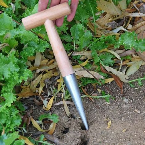 (1 pièce) Outil de jardin manuel à planter, plantoir en acier inoxydable avec manche en bois pour semer, repiquer, planter et déterrer les bulbes