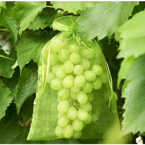 100 Sac Protection Fruits Sacs Filets Protection des Grappes de Raisins Contre Les Oiseaux et Insectes Guêpes Frelons 30 x 20 cm (1/5)