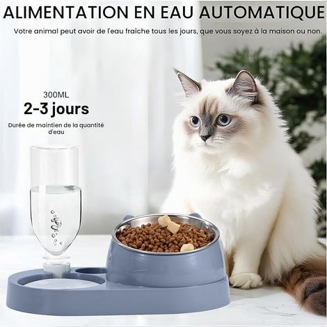 Gamelle Chat et Abreuvoirs pour Chats Inclinable Gamelle pour Chat Surélevée Mangeoirs et Abreuvoirs pour Chiens Bols Bleu (1/2)