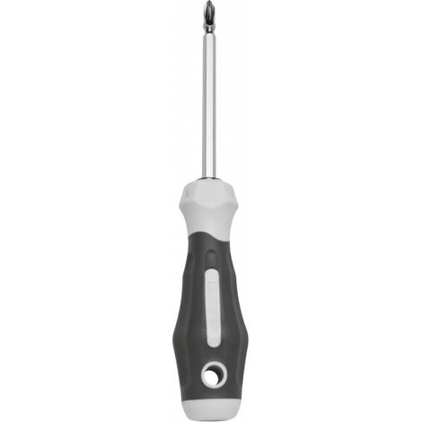 Tournevis double embout cruciforme et plat PH1 (475 mm) (1/5)
