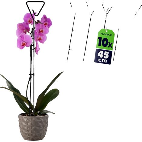 Pflanzenstützstäbe, 50 cm Länge, langlebiger Kunststoff, Set mit 10 Stück, minimalistisches Design, geeignet für Zimmerpflanzen (1/5)