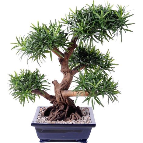 Bonsaï Podocarpus Artificiel H 70 cm D 60 cm en pot - dimhaut: H 70 cm - couleur: Vert (1/3)