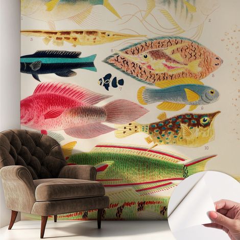 Papier peint autocollant adhésif avec motifs pour salon et chambre accessoire stylé pour votre intérieur Poissons colorés 250x250 cm (1/5)