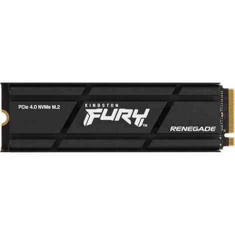 2000g renegade pcie 4.0 nvme ssd (1/4)