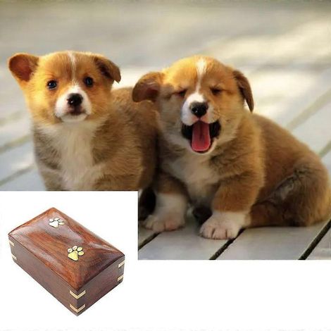 Urne funéraire pour animaux de compagnie, boîte à souvenirs pour animaux de compagnie, cercueil funéraire en bois avec motif de griffes (1/4)
