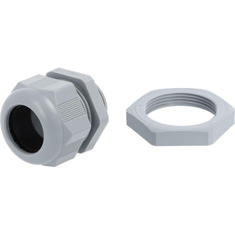 STEX24 Presse-étoupe en PA avec contre-écrou - marque distributeur STEX24 M32x1.5 VPE 100 Polyamide (PA) Longueur de filetage 10,0 mm - 1 Stück
