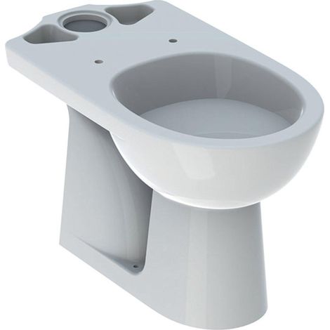 Geberit Renova cuvette à réservoir combiné évacuation profonde 35.7x66.5cm sortie horizontale blanc (1/2)