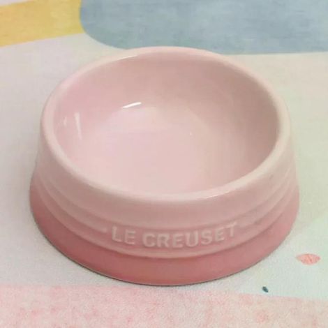 Filiyano-Gamelle pour chien à dégradé de couleurs, en céramique, idéale pour les chiots et les chatons. Contenance : 24 ml (eau et nourriture). Rose