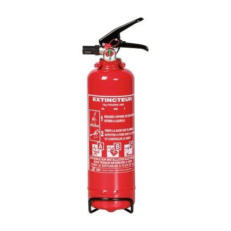 EXTINCTEUR 1KG FLY1 49710101E