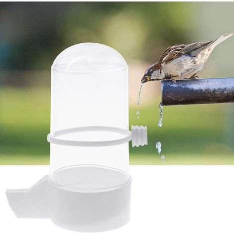 Abreuvoir pour perruches, canaris et autres oiseaux système d'hydratation pour cages ou élevage domestique.-AquaForge (1/4)