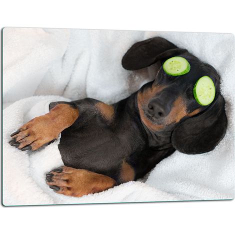Glasschild Schneidebrett 52x40 Hund (1/5)