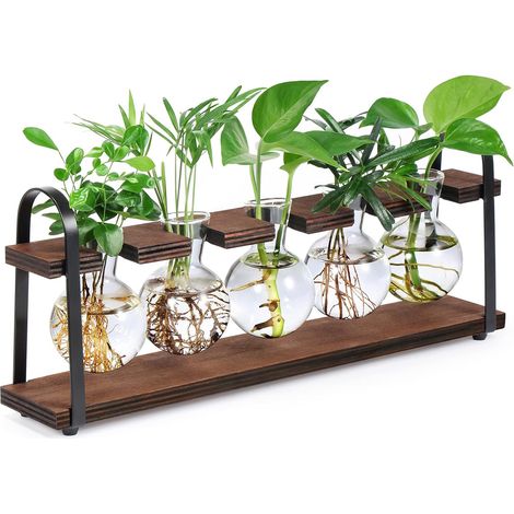 Stations de propagation de plantes avec support en bois, bulbe de terrarium de bureau pour la propagation de plantes hydroponiques, fleurs (1/5)