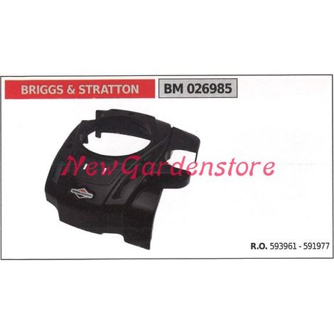 BRIGGS & STRATTON Motor Rasenmäher Rasenmäher 026985